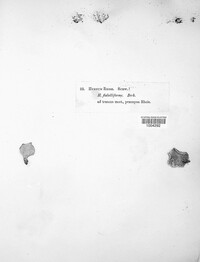 Image Associated With the Occurence